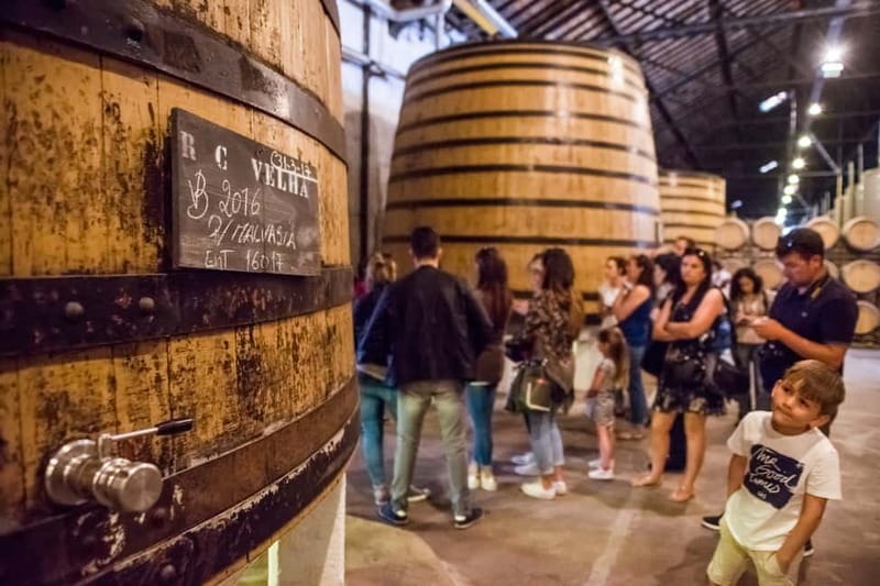 Porto: Magic Train Tour and Port Wine Cellar with Tastings - A useful first look at Porto from Sé Catedral