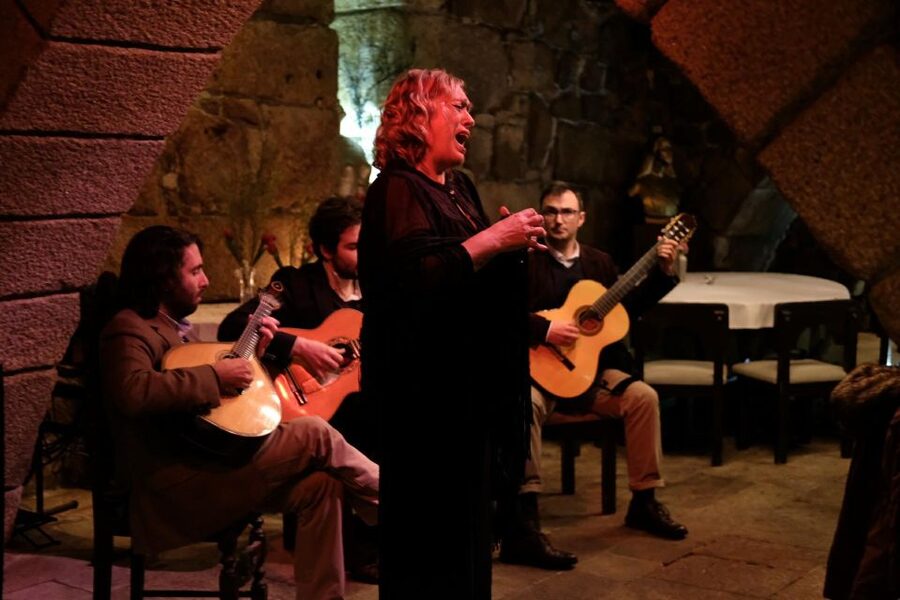 Porto Moonlight Walk & Fado Dinner - Meeting at Praça de Gomes Teixeira