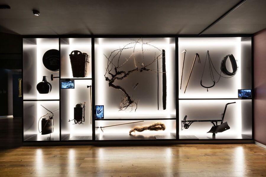 Porto: Museum of the Oldest Appellation in the World Ticket - What Could Be Better