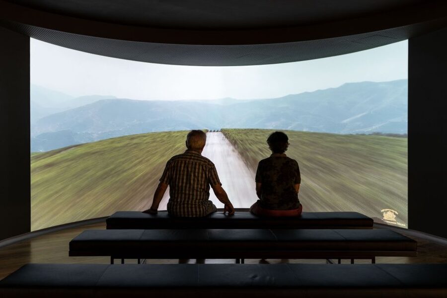 Porto: Museum of the Oldest Appellation in the World Ticket - Art, Equipment, and Interactive Displays