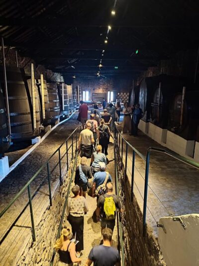 Port and Douro Wine Walking Tour with 9 Tastings