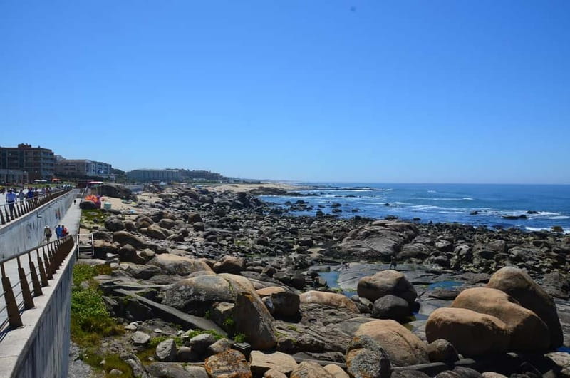 Porto: Porto Bike Atlantic Route - Ovar and the Monday market option