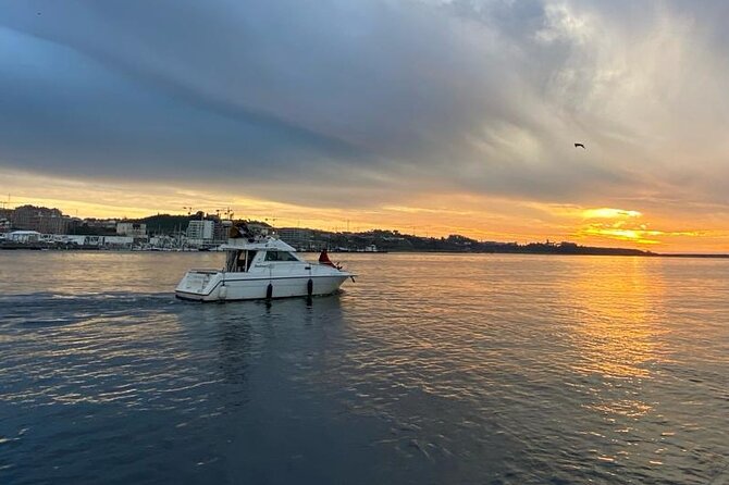 Porto: Private 6 bridges tour, Douro river with sunset option - Arrábida Bridge and the wide lower Douro