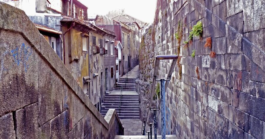 Porto: Private Bike Tour with a Local Guide - City Park and the Quieter Return Route