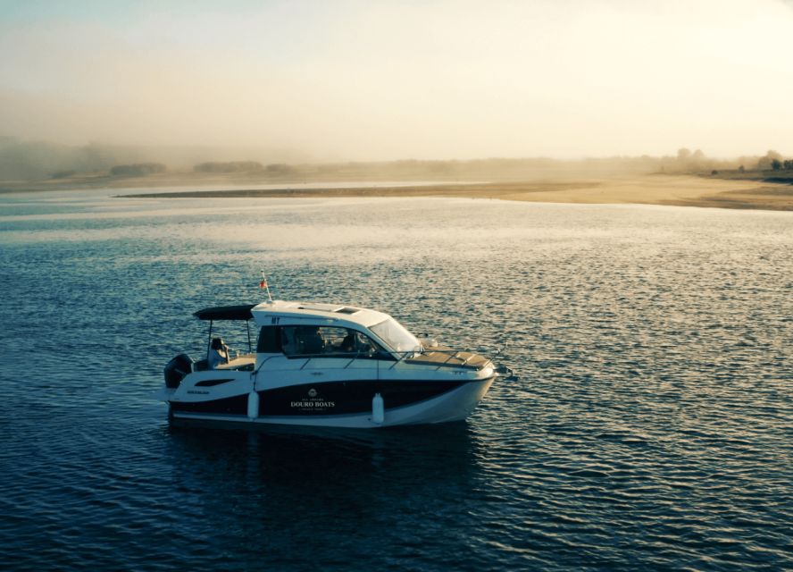 Porto: Private Boat Tour in Douro River - Four more bridges and changing views of Porto