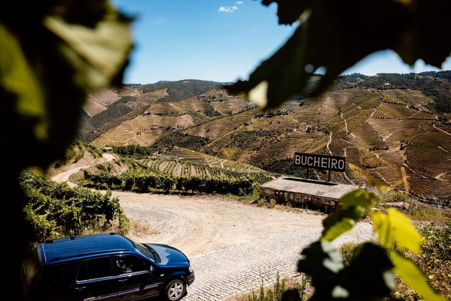 Porto: Private Douro Valley 4x4 Tour with Lunch - The family quinta and its wines