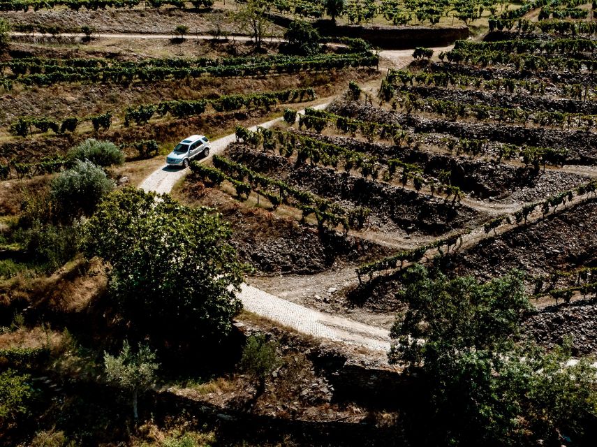 Porto: Private Douro Valley 4x4 Tour with Lunch - The guides make the difference