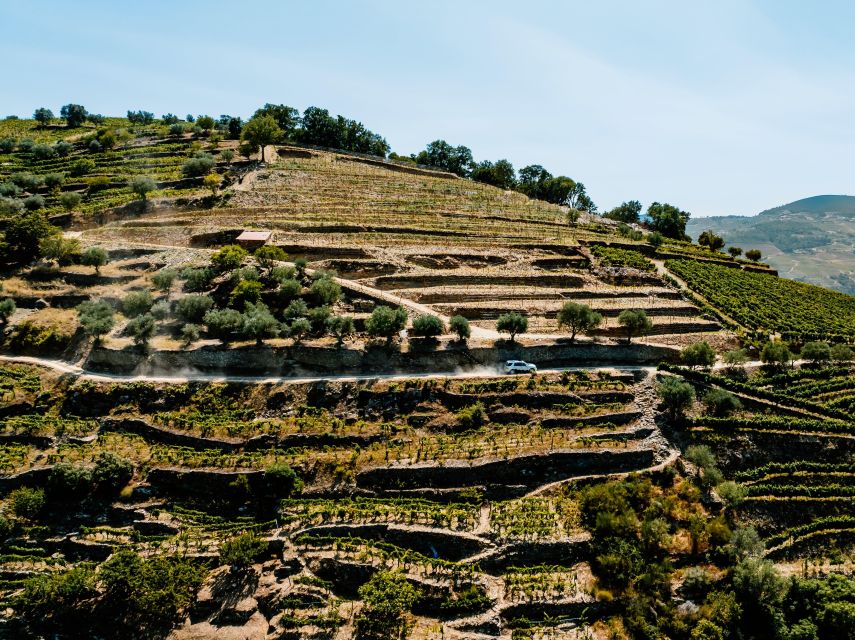 Porto: Private Douro Valley 4x4 Tour with Lunch - What the $294 price really covers