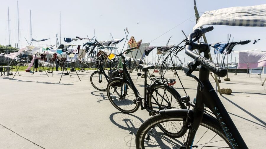 Porto Private E-Bike Tour: Douro River, Parks & Beaches - Who should book this tour?
