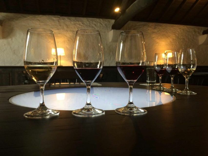 Porto: Private Guided Wine-Tasting Tour - Walking beyond Porto’s obvious routes
