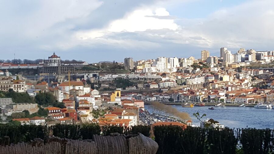 Porto: Private Half-Day as a Local Experience - Who will get the most from this Porto tour