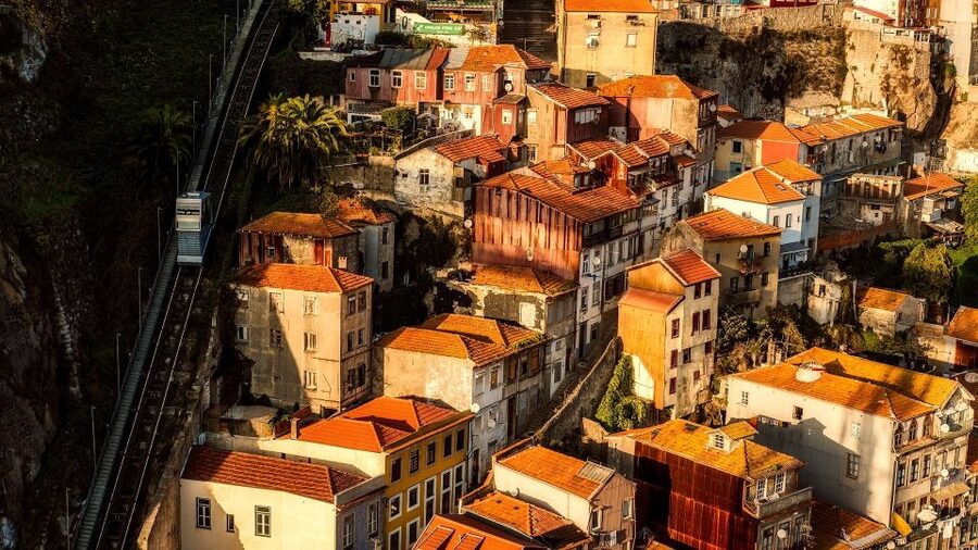 Porto Private Half Day Walking Tour: Cruise & Wine Tasting - Three Porto experiences in one afternoon