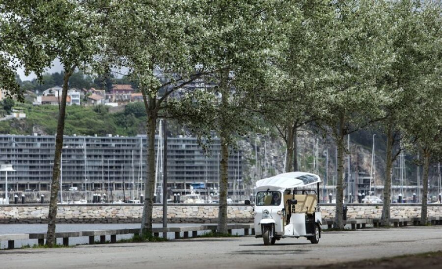 Porto: Private Sightseeing Tour by Electric Tuk Tuk - Price, comfort, and value