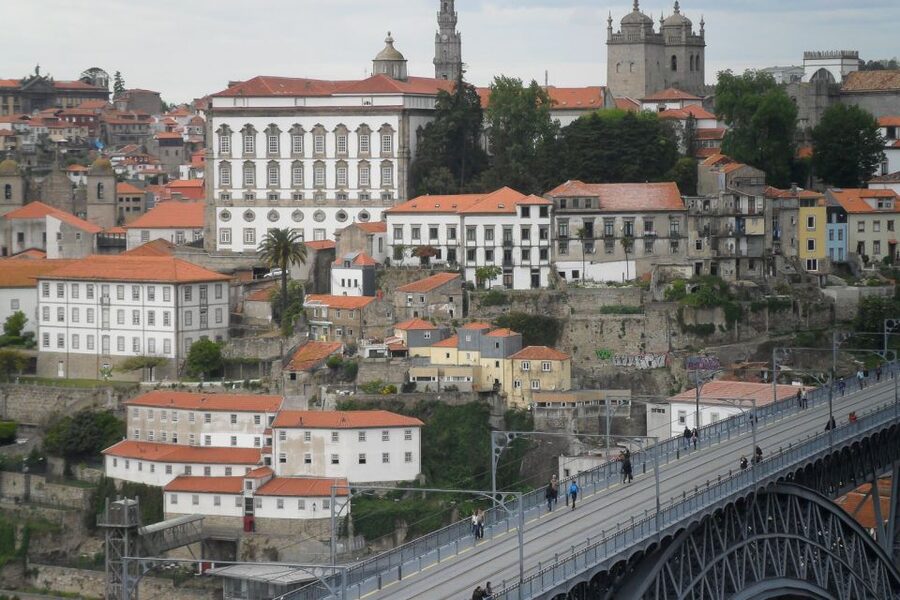 Porto Private Walking Tour with Fast Track to Lello - Clerigos Church and the olive-tree garden