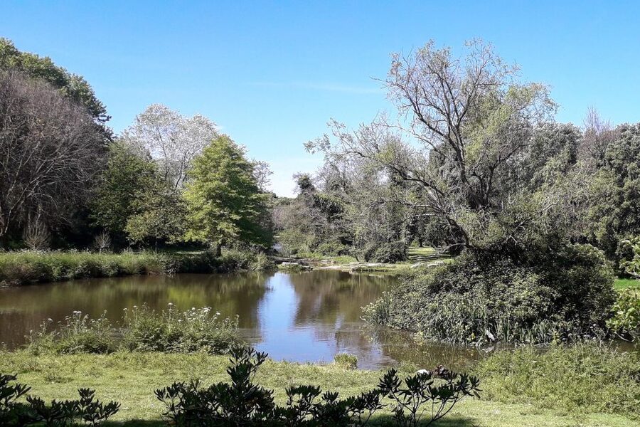Porto Riverbank Tour on an e-bike: Atlantic Coast, Gardens - Returning through Massarelos and the old center