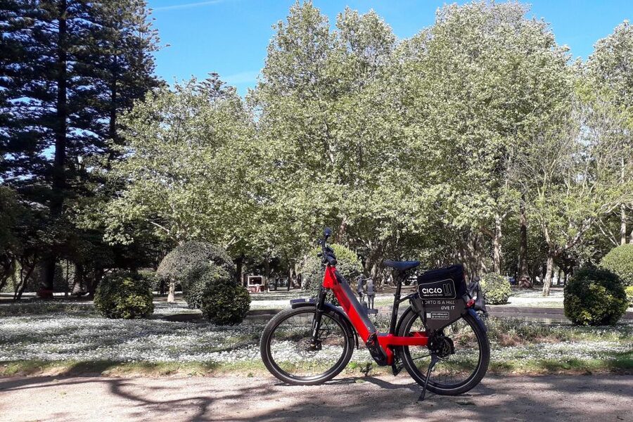 Porto Riverbank Tour on an e-bike: Atlantic Coast, Gardens - Is $57 a fair price?