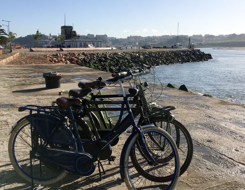 Porto: Riverside Panoramic E-Bike Tour - Jardim do Cálem: a green pause beside the Douro