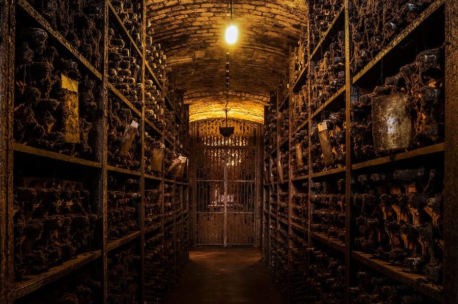 Porto: Royal Oporto Tour na Real Companhia Velha - Why Real Companhia Velha feels different from the riverfront cellars