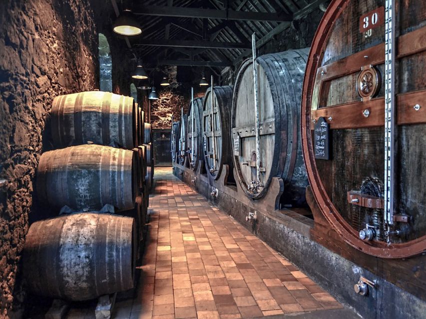 Porto: Self-Guided Bike and Boat Tour with Port Wine Tasting - My verdict: book it if you want variety and control