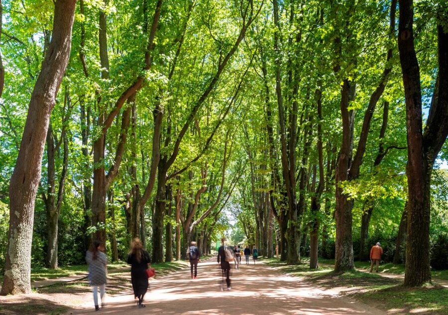 Porto: Serralves Park Entry Ticket - Who will enjoy Serralves Park most?