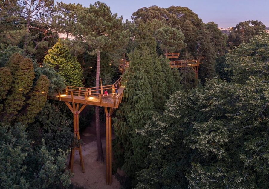 Porto: Serralves Park Entry Ticket - From 19th-century gardens to modern public space
