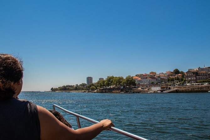 Porto Six Bridges Panoramic Cruise on the Douro River - Open air or covered seating