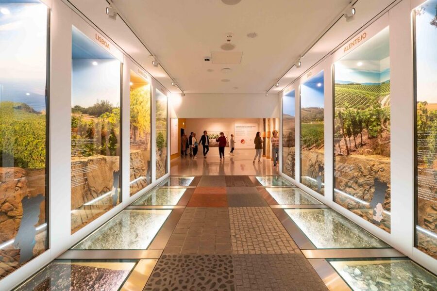 Porto: Taylor’s Port Cellar Tour & WOW Museum Pack - Entering Taylor’s 300-year-old Port cellars