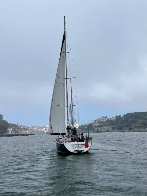 Porto: The Best Douro Boat Tour - Key points to know before you book