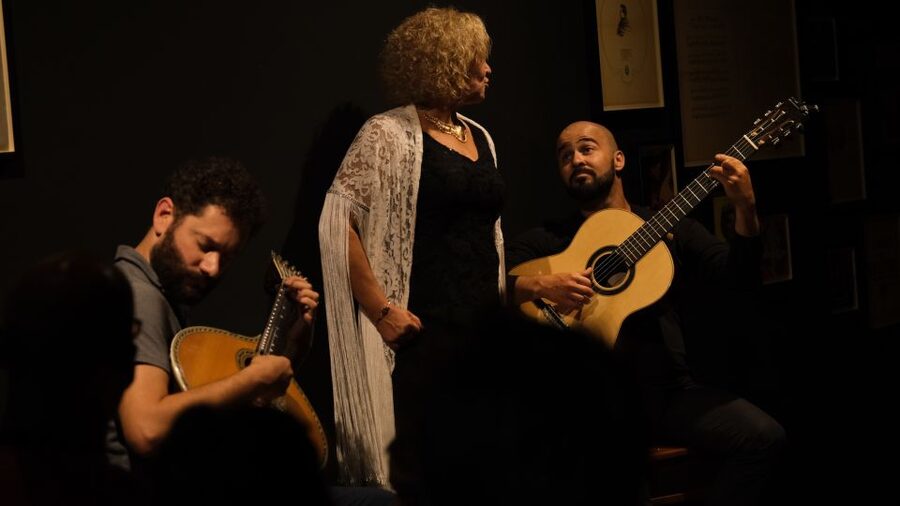 Porto: The highest-rated traditional fado concert (downtown) - Who should book this fado concert