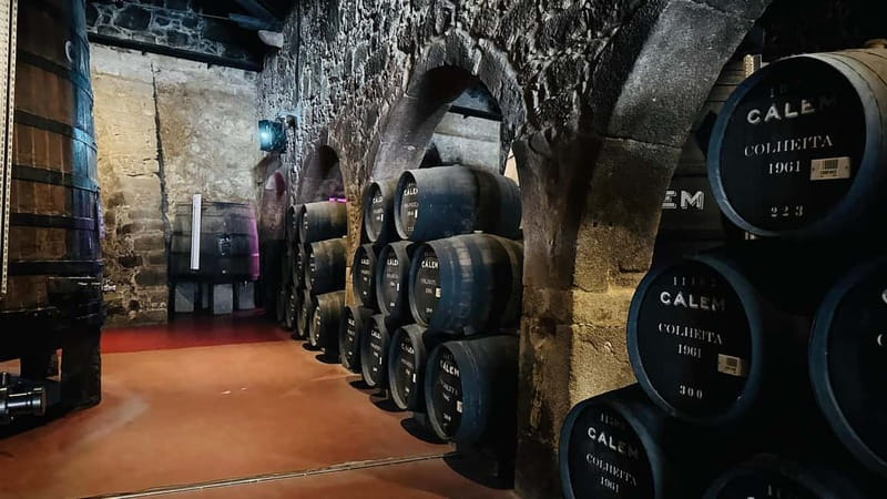 Porto to Gaia Experience: City Walk and Wine Cellars - Why this Porto and Gaia route works