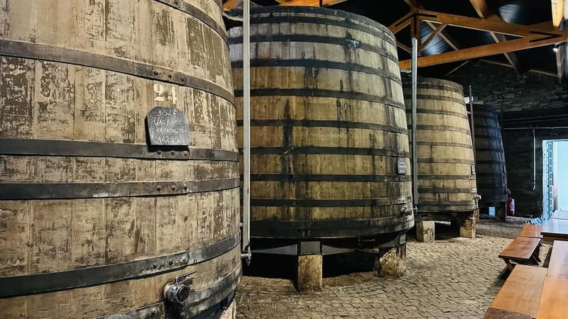 Porto to Gaia Experience: City Walk and Wine Cellars - Chapel of Souls and Majestic Café