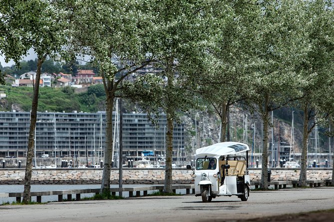 Porto Tuk Tuk: Clérigos, Seaside & Viewpoints - with Options - The Luis I Bridge, Maria Pia Bridge, and Porto’s river story
