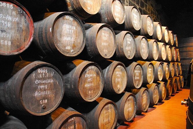 Porto: Visit and Wine Tasting at Taylor's Port Cellar - Key points to know before you book