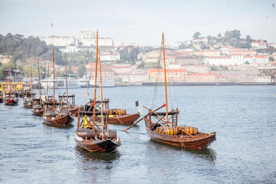 Porto Walking Tour of the city centre in small-groups - Avenida dos Aliados and the modern city