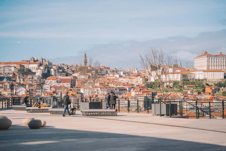 Porto: WOW Daily Ticket - The Wine Experience explains Portugal’s signature drink