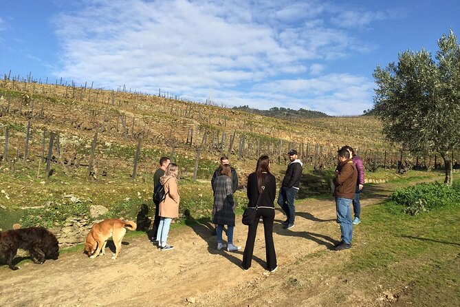 Premium Douro Valley Small-Group Tour, Wine Tasting, Lunch & Boat - The one-hour wooden boat ride from Pinhão