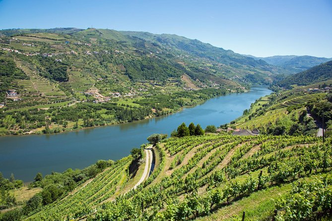 Premium Douro Valley Small-Group Tour, Wine Tasting, Lunch & Boat - Who should book this Douro Valley day trip?