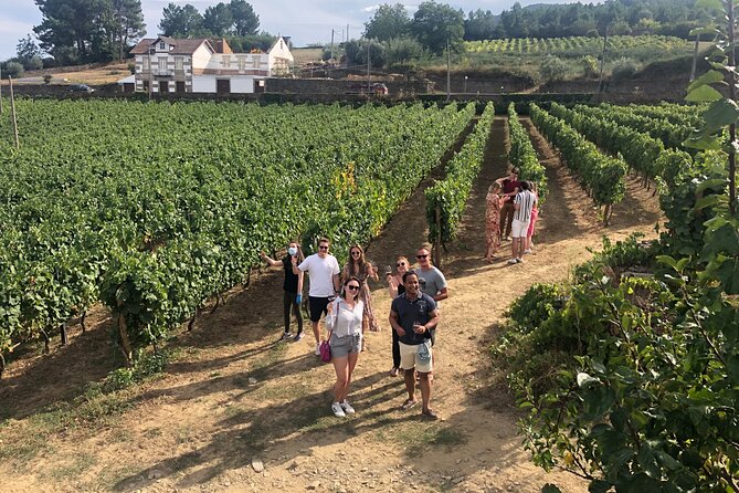 Premium Douro Valley Small-Group Tour, Wine Tasting, Lunch & Boat - Lunch at Casa dos Barros