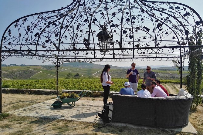Premium Private Douro Tour: 3 Wineries with Tastings & Lunch - First stop: Moscatel at Quinta de Avessada