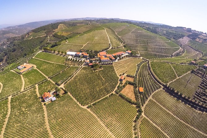 Premium Private Douro Tour: 3 Wineries with Tastings & Lunch - Lunch near Pinhão and the best pause of the day
