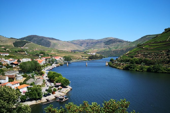 Premium Private Douro Tour: 3 Wineries with Tastings & Lunch - Quinta de Tourais: DOC wine and Port side by side