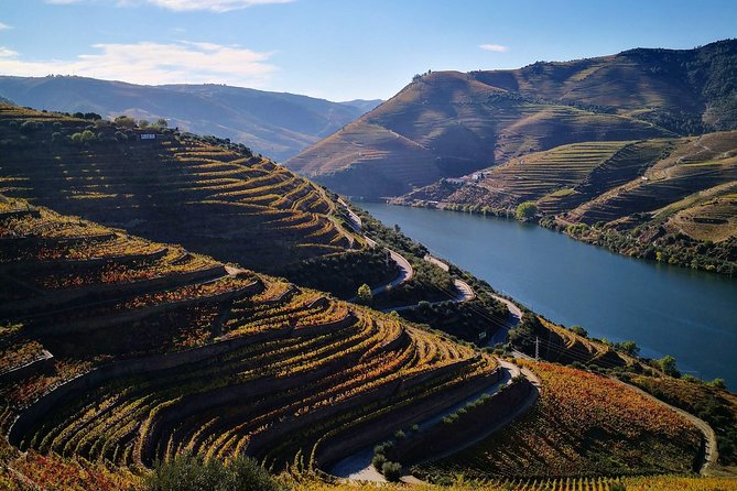 Premium Private Douro Tour: 3 Wineries with Tastings & Lunch - The river road and the Douro’s big views