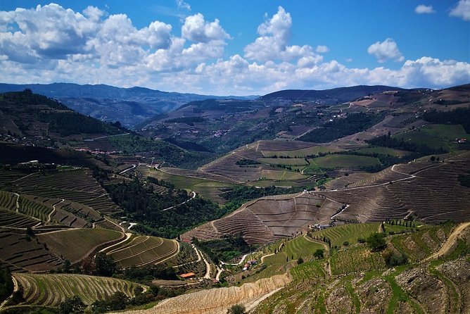 Premium Private Douro Tour: 3 Wineries with Tastings & Lunch - What the $520.23 price means