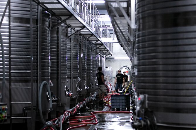 Premium Private Vinho Verde Tour:3 Wineries with Tastings & Lunch - A Portuguese lunch in a winery setting