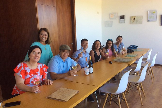 Premium Private Vinho Verde Tour:3 Wineries with Tastings & Lunch - What the $474.33 price means