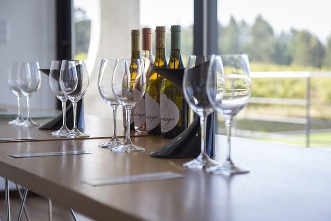 Premium Private Vinho Verde Tour:3 Wineries with Tastings & Lunch - Who will get the most from this tour