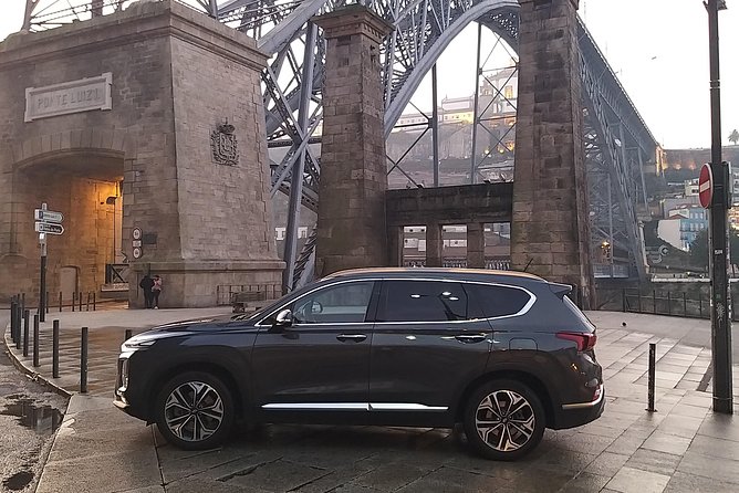 Private Airport Transfer from the Airport to Porto - Delays, cancellations, and timing rules