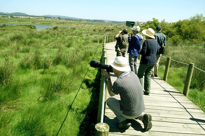 Private Birdwatching from Porto - Birdwatching near Esposende