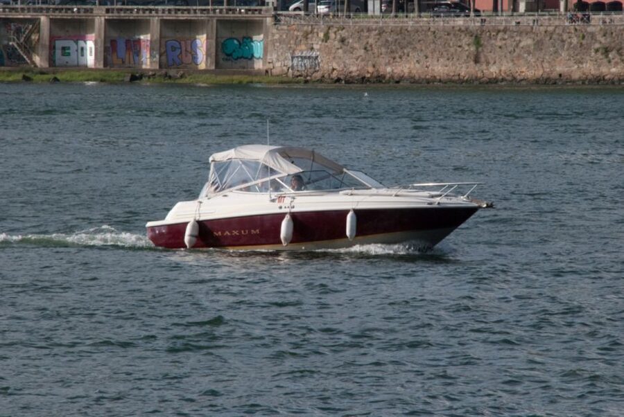 Private Boat Tour 6 Bridges 1h30, group price up to 6px - From the river mouth to the Arrábida Bridge