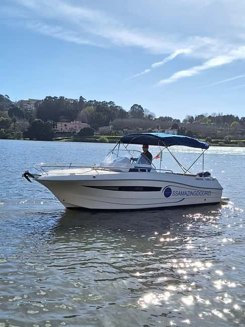 Private Boat Tour in Porto with Portuguese Tapas Option - Key points to know before booking